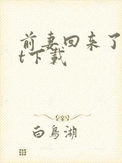 前妻回来了txt下载