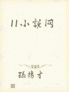 11小说网