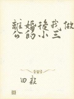 离婚后我做了老公的小三