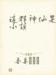 这群神仙是假的小说
