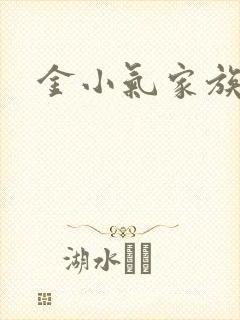 金小气家族小说