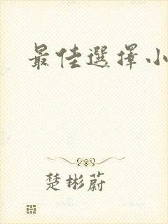 最佳选择小说