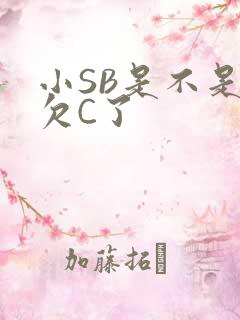 小SB是不是又欠C了