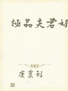 极品夫君好又多