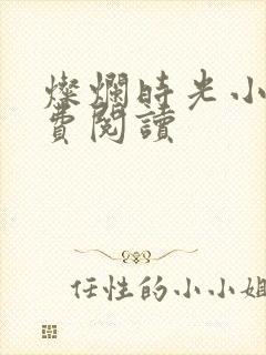 灿烂时光小说免费阅读