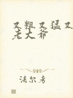 又粗又猛又大爽老大爷