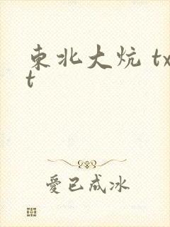 东北大炕 txt