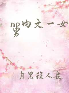 np肉文一女多男