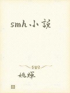 smh小说
