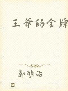 王爷的金牌暗卫