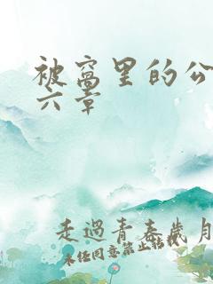 被窝里的公息十六章