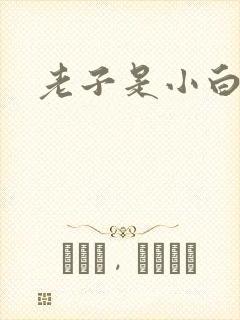 老子是小白脸