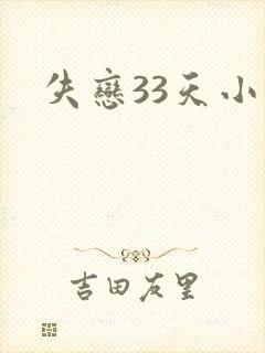 失恋33天小说