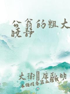 公翁的粗大放进晓静