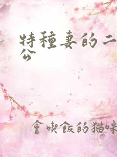 特种妻的二手老公