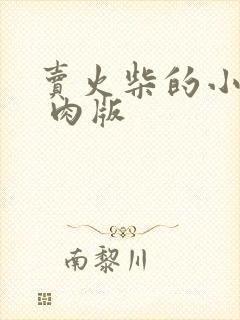 卖火柴的小男孩 肉版