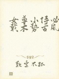 女尊小侍必须佩戴木势古风