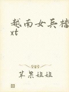 越南女兵档案txt