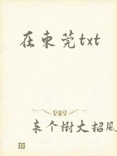 在东莞txt