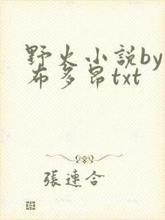 野火小说by夏布多昂txt