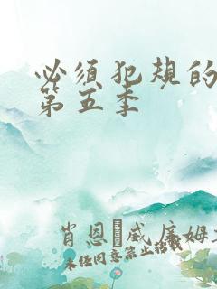 必须犯规的游戏第五季