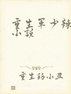 重生军少辣娇妻小说