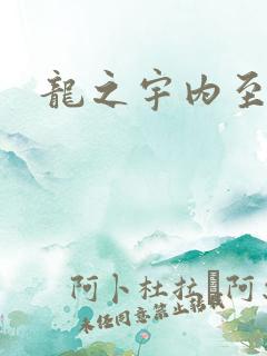 龙之宇内至尊