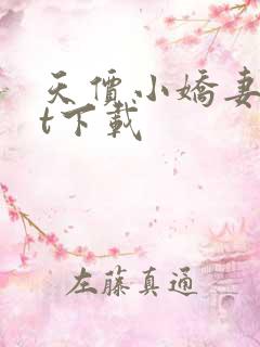 天价小娇妻txt下载