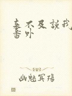 来不及说我爱你番外