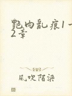 艳肉乱痕1一12章