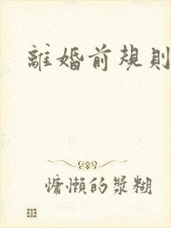 离婚前规则歌曲