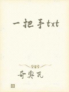 一把手txt