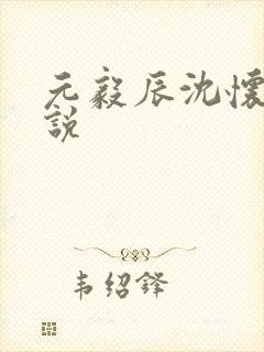 元毅辰沈怀妆小说