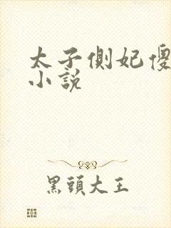 太子侧妃傻乎乎小说