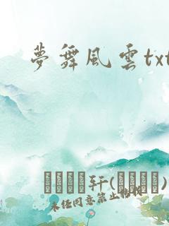 梦舞风云txt
