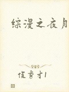 综漫之夜月