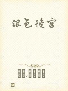 银色后宫