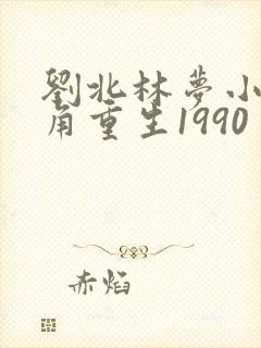 刘北林梦小说主角重生1990