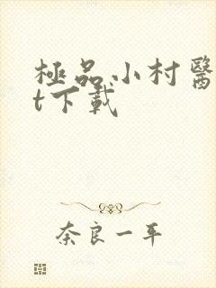 极品小村医txt下载