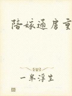 陪嫁通房重生记