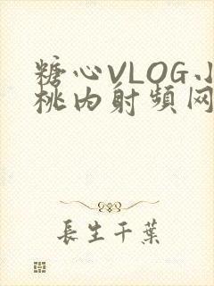 糖心VLOG小桃内射频网站