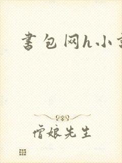 书包网h小说
