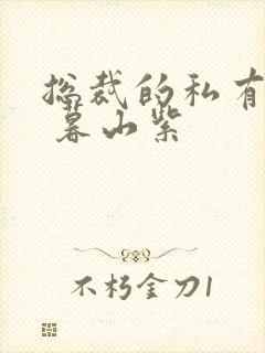 总裁的私有宝贝 暮山紫