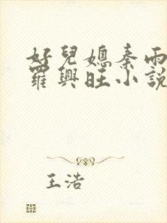 好儿媳秦雨罗明罗兴旺小说