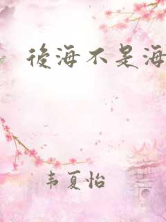 后海不是海小说