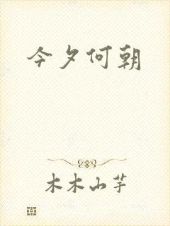 今夕何朝