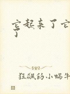 它起来了它想你了