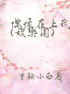 偶像在上我在下(娱乐圈)