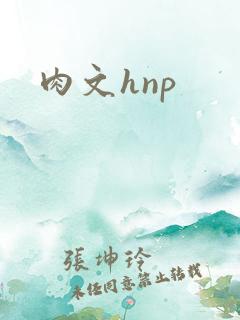 肉文hnp