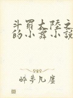 斗罗大陆之Y荡的小舞小说